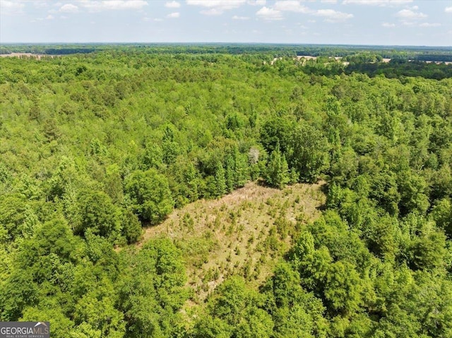 2221 Abbeville Hwy, Hawkinsville, GA 31036