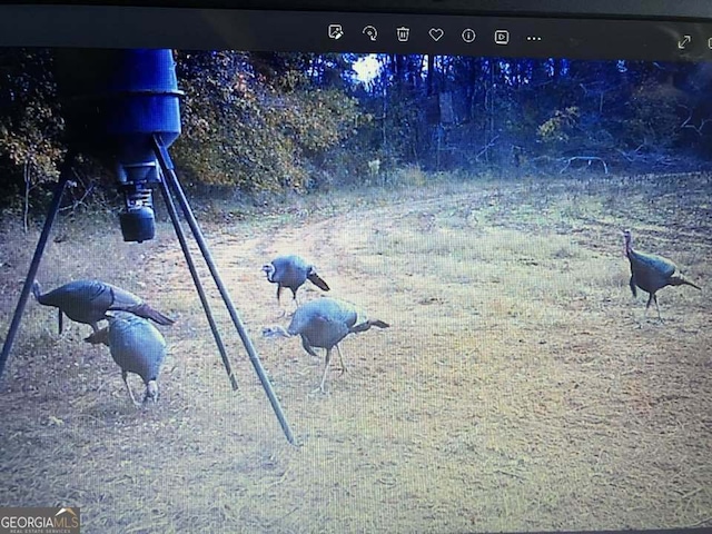 2221 Abbeville Hwy, Hawkinsville, GA 31036