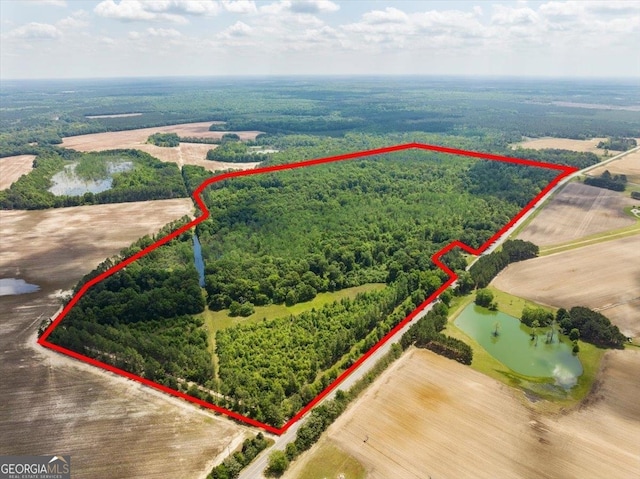2221 Abbeville Hwy, Hawkinsville, GA 31036