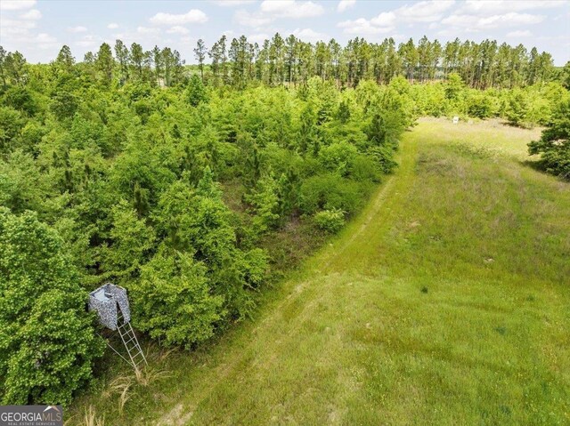 2221 Abbeville Hwy, Hawkinsville, GA 31036