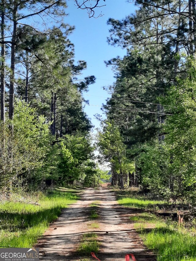 2221 Abbeville Hwy, Hawkinsville, GA 31036