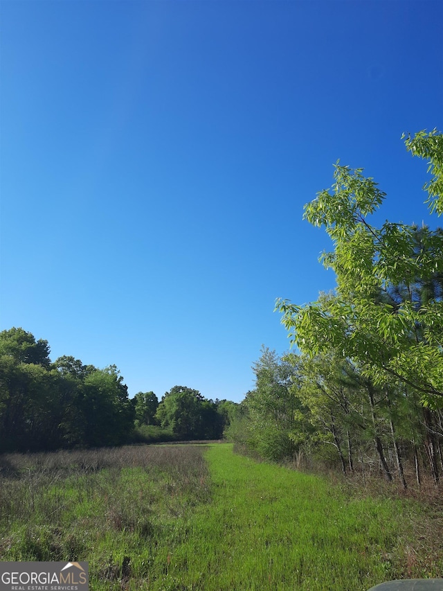 2221 Abbeville Hwy, Hawkinsville, GA 31036