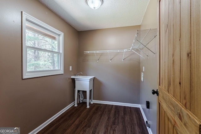 clothes washing area featuring sink, dark hardwood / wood-style floors, and a textured ceiling