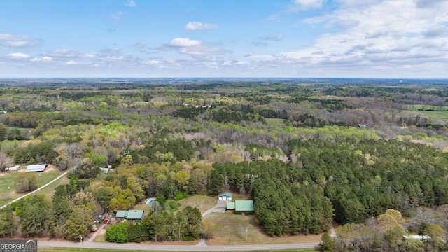 view of bird's eye view