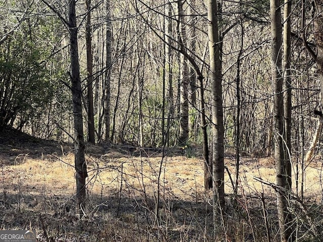 LOT59C Mountain Harbour, Hayesville NC, 28904 land for sale