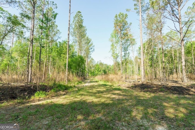 6053 Sunhill Grange Rd, Davisboro GA, 31018 land for sale