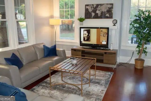 living room featuring a wealth of natural light and hardwood / wood-style flooring