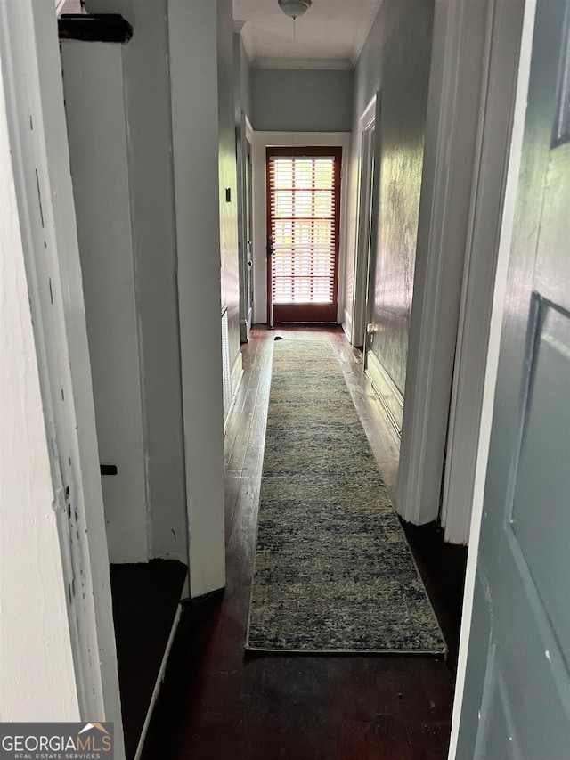 corridor with dark wood-type flooring and ornamental molding