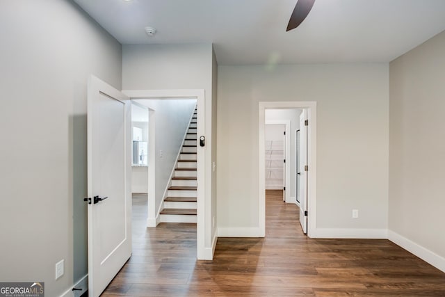 interior space with dark hardwood / wood-style floors