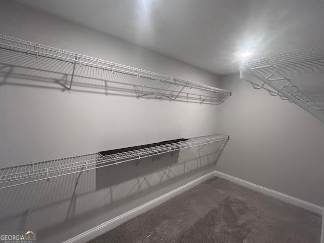 35 Fairwinds Unit 207, Waverly, GA 31565 - walk in closet with carpet flooring