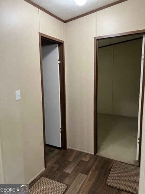 hallway featuring dark wood-type flooring