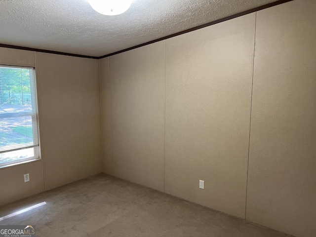 carpeted spare room featuring a wealth of natural light and a textured ceiling