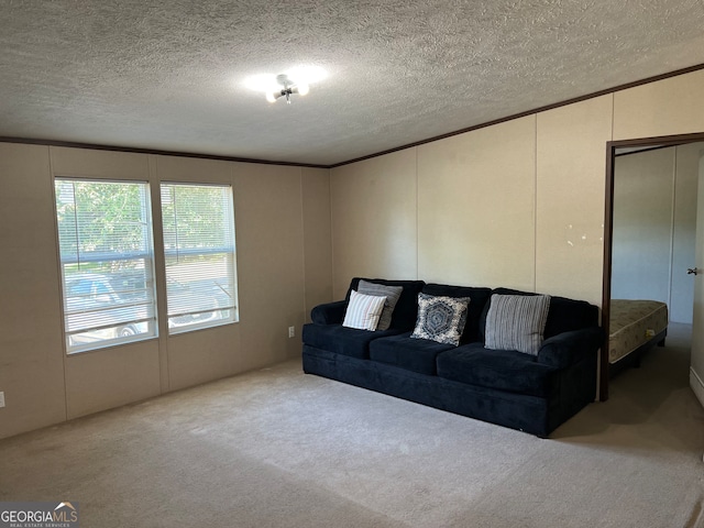 living room featuring a textured ceiling and carpet floors