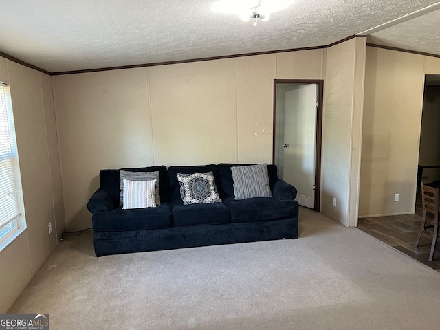 living room featuring crown molding, a textured ceiling, and carpet flooring