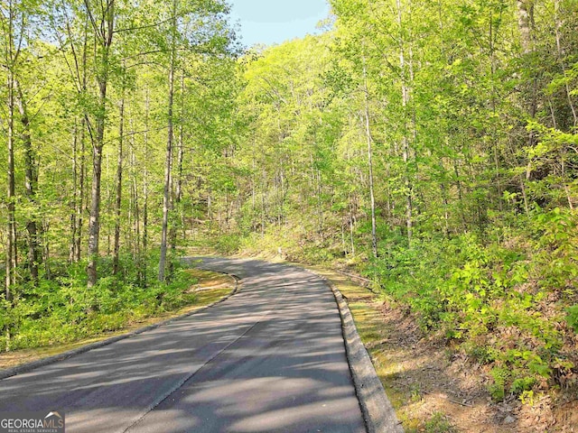 0 Yates Cir, Clarkesville GA, 30523 land for sale