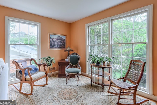 sitting room with a healthy amount of sunlight