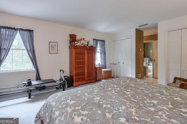 carpeted bedroom with two closets