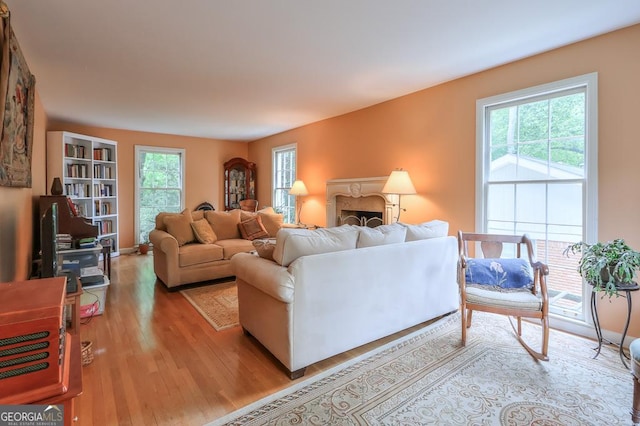 living room featuring light hardwood / wood-style flooring