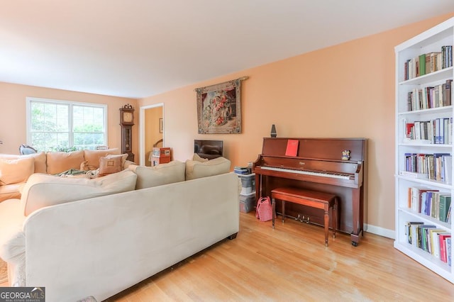 living room featuring light hardwood / wood-style floors