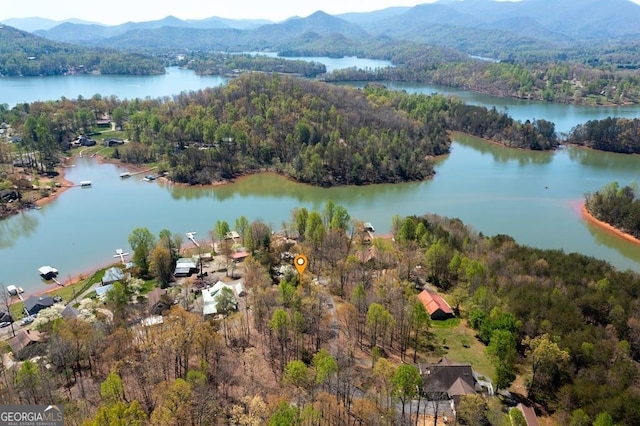 birds eye view of property featuring a water and mountain view