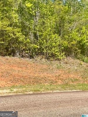 LOT32 13th Ct, Lanett AL, 36863 land for sale