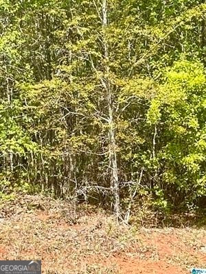 Listing photo 2 for LOT32 13th Ct, Lanett AL 36863