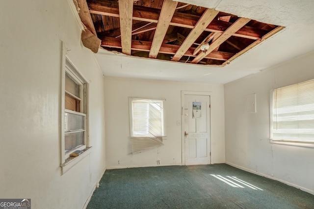 spare room featuring carpet flooring