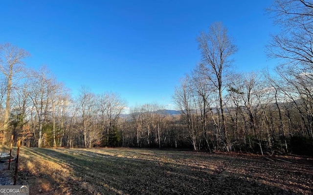 17ACRES Matheson Cove Rd, Hayesville NC, 28904 land for sale