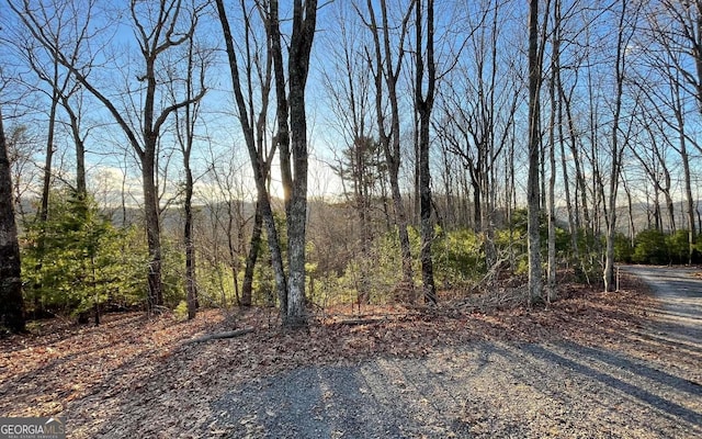 Listing photo 3 for 17ACRES Matheson Cove Rd, Hayesville NC 28904