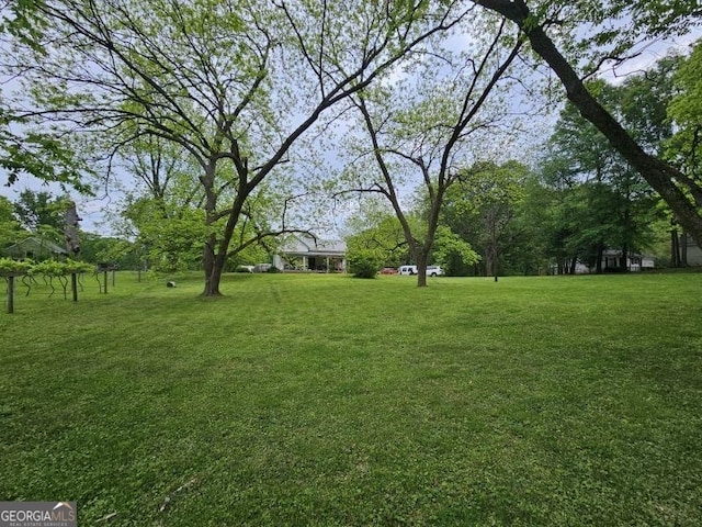 view of yard