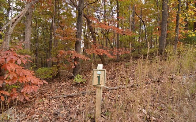 LOT1 Serenity Rdg, Blairsville GA, 30512 land for sale