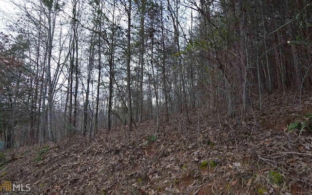 Listing photo 2 for LOT4 Brer Fox Rdg, Hiawassee GA 30546