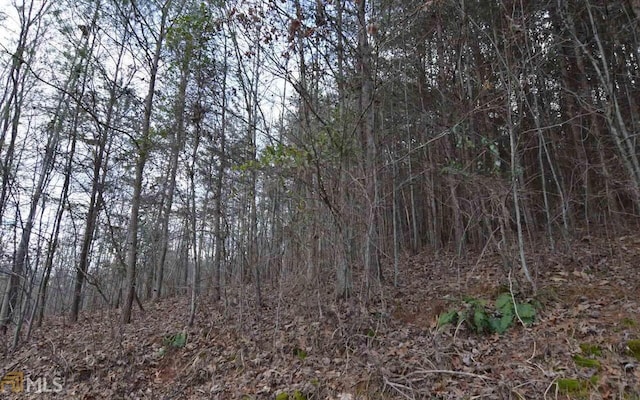 Listing photo 3 for LOT4 Brer Fox Rdg, Hiawassee GA 30546