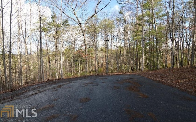 Listing photo 3 for LOT26 Coosa Bnd, Blairsville GA 30512