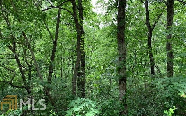 LOT50A Eagles Vw, Hayesville NC, 28904 land for sale