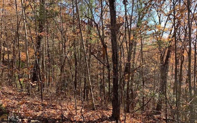 Listing photo 3 for LOT49 Fires Creek Cv, Hayesville NC 28904