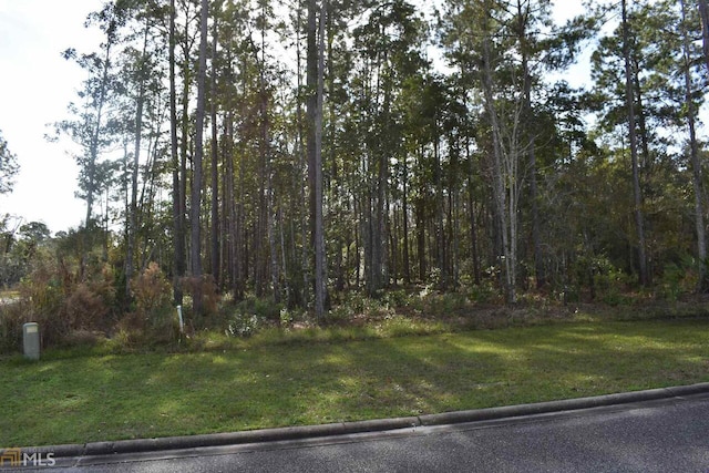 104 Baiter Ct, Saint Marys GA, 31558 land for sale