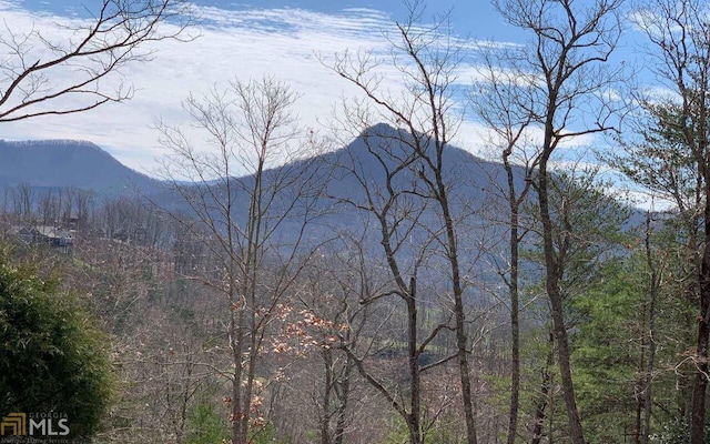 LOT42 Dan Knob, Hayesville NC, 28904 land for sale