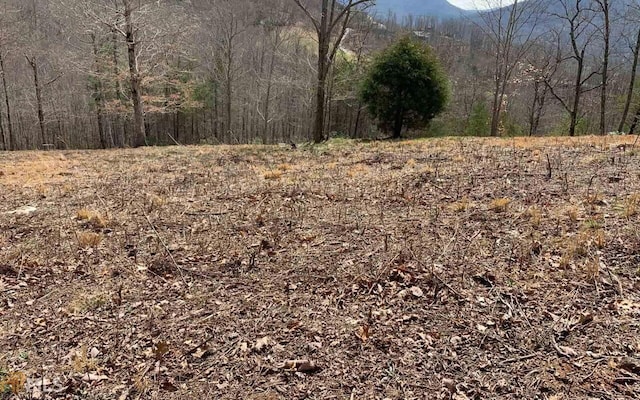 Listing photo 3 for LOT42 Dan Knob, Hayesville NC 28904