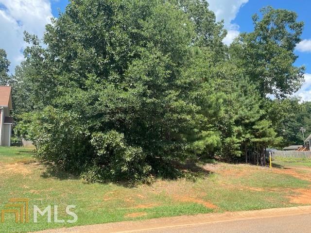 19 Vinnings Ln SW, Cartersville, GA 30120