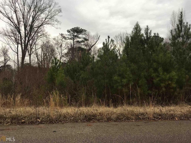 0 19th Ave SW, Lanett AL, 36863 land for sale