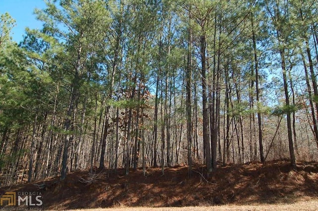 1480 Pullman Ln, Greensboro GA, 30642 land for sale