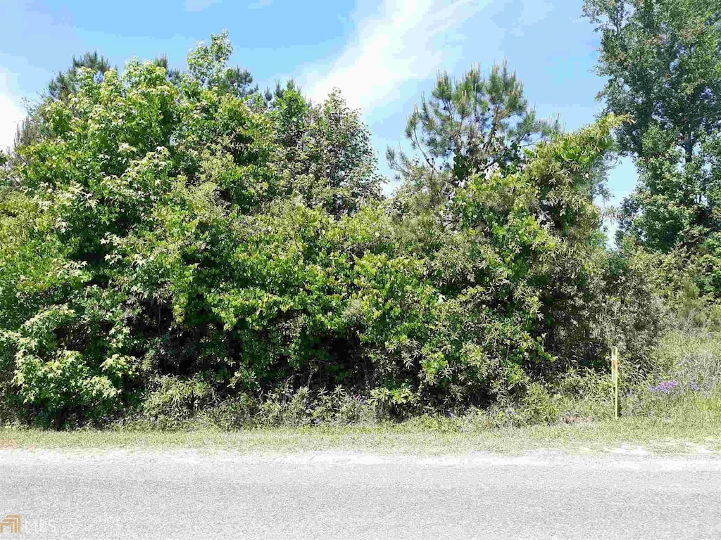 0 Chatfield Rd Unit Track A B & Pb2/53, Culloden, GA 31016