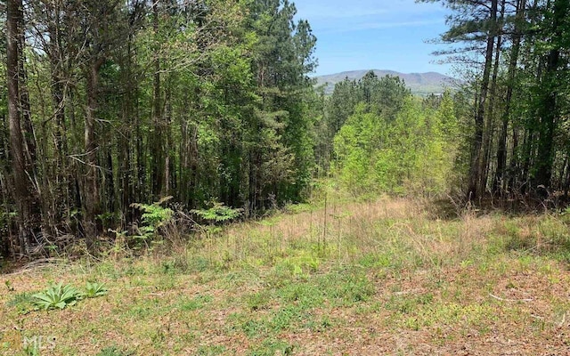 LOT28 Loftis Mtn, Blairsville GA, 30512 land for sale