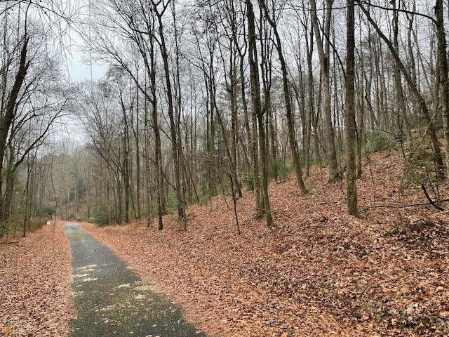 0 Walhalla Ct Lot 387, Ellijay, GA 30540