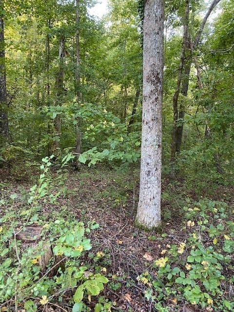 0 Robertson Ct Unit 33, Dawsonville GA, 30534 land for sale