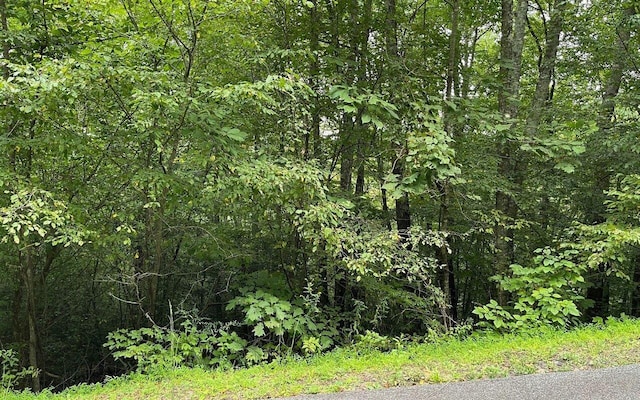 LOT7 Bear Trl, Hiawassee GA, 30546 land for sale