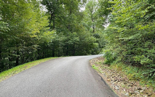 Listing photo 3 for LOT7 Bear Trl, Hiawassee GA 30546