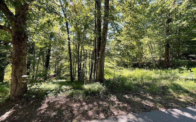 LOT1 Buena Vista Dr, Hayesville NC, 28904 land for sale