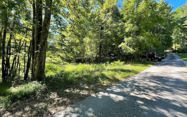 Listing photo 2 for LOT1 Buena Vista Dr, Hayesville NC 28904